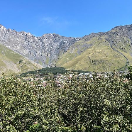 Guest House Demma Kazbegi Extérieur photo