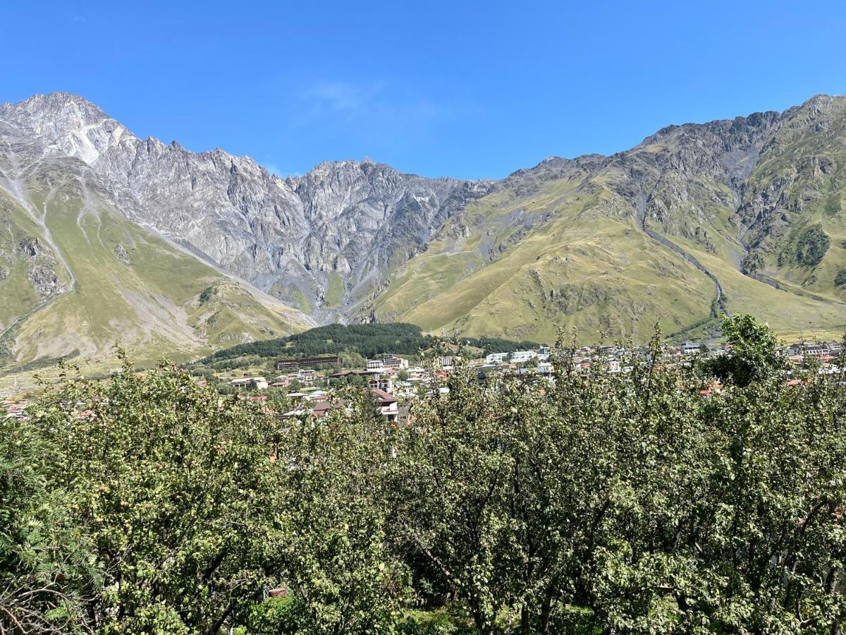 Guest House Demma Kazbegi Extérieur photo